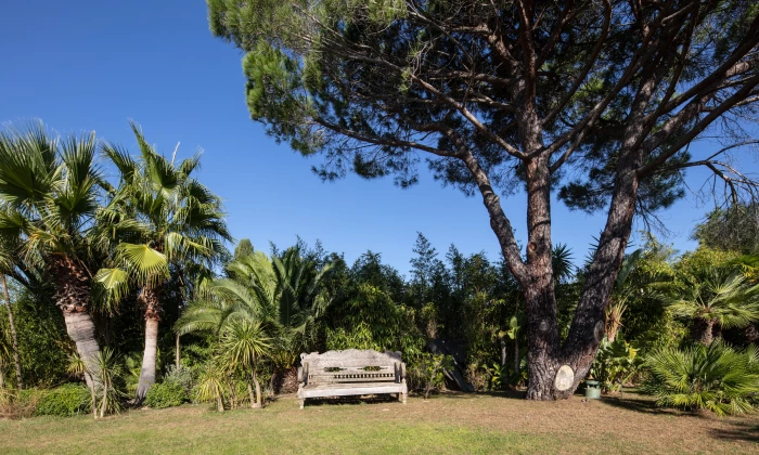 Villa Diane
