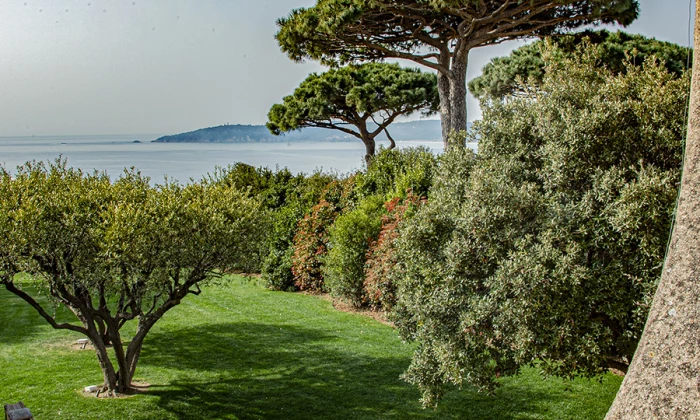 Villa Vento