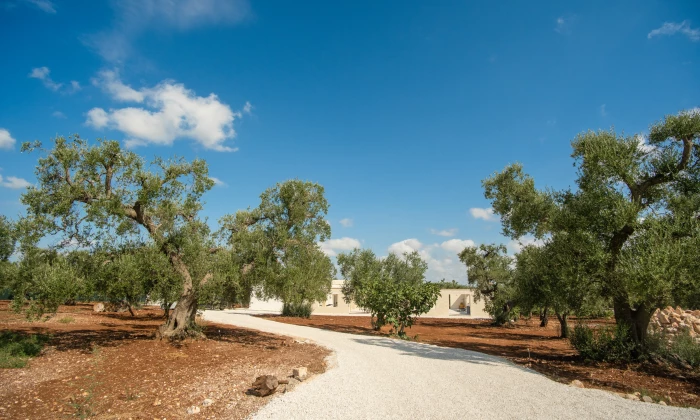 Villa Fasano