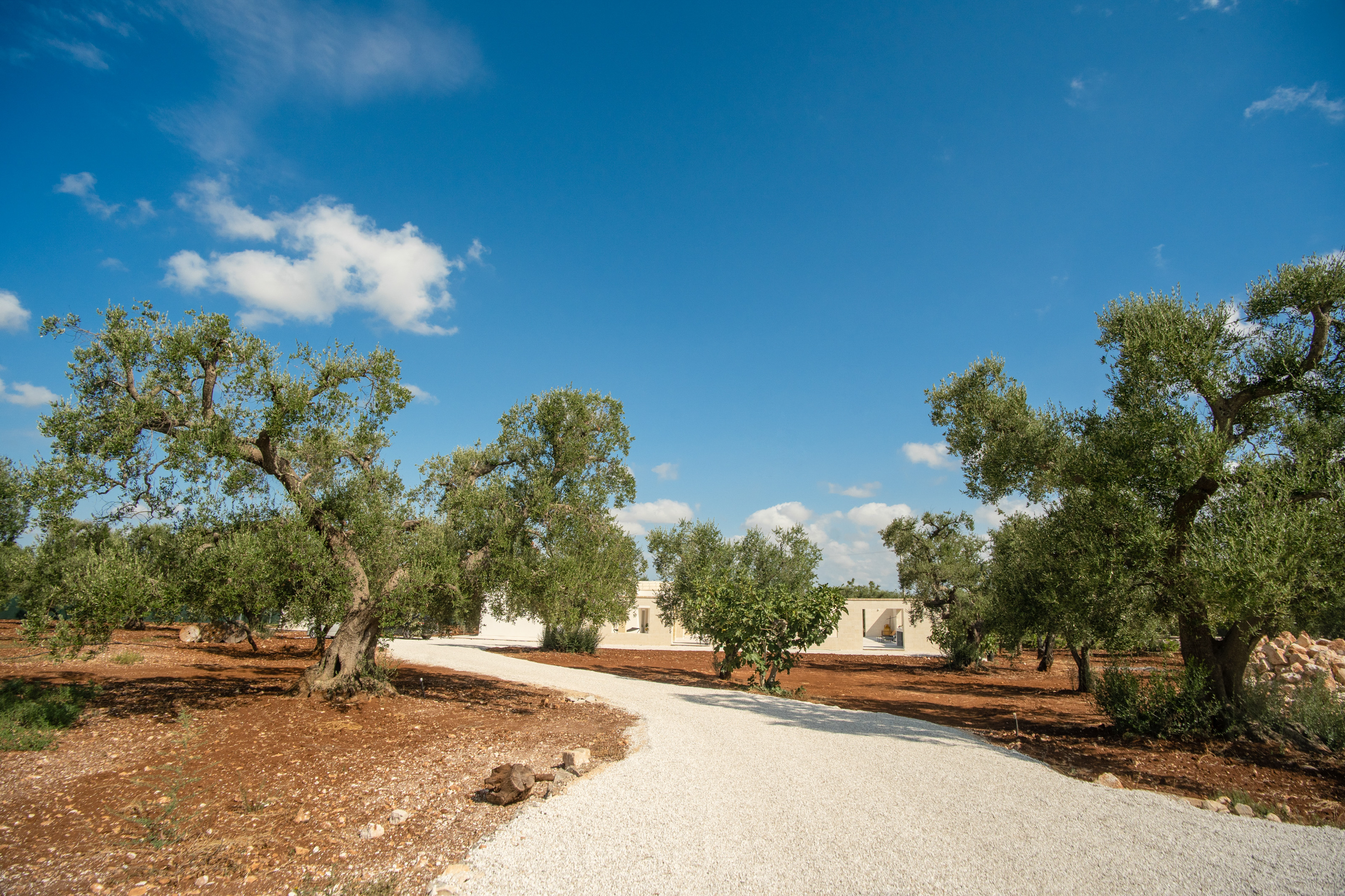 Villa Fasano