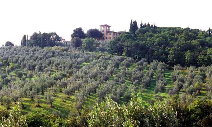Villa La Cima