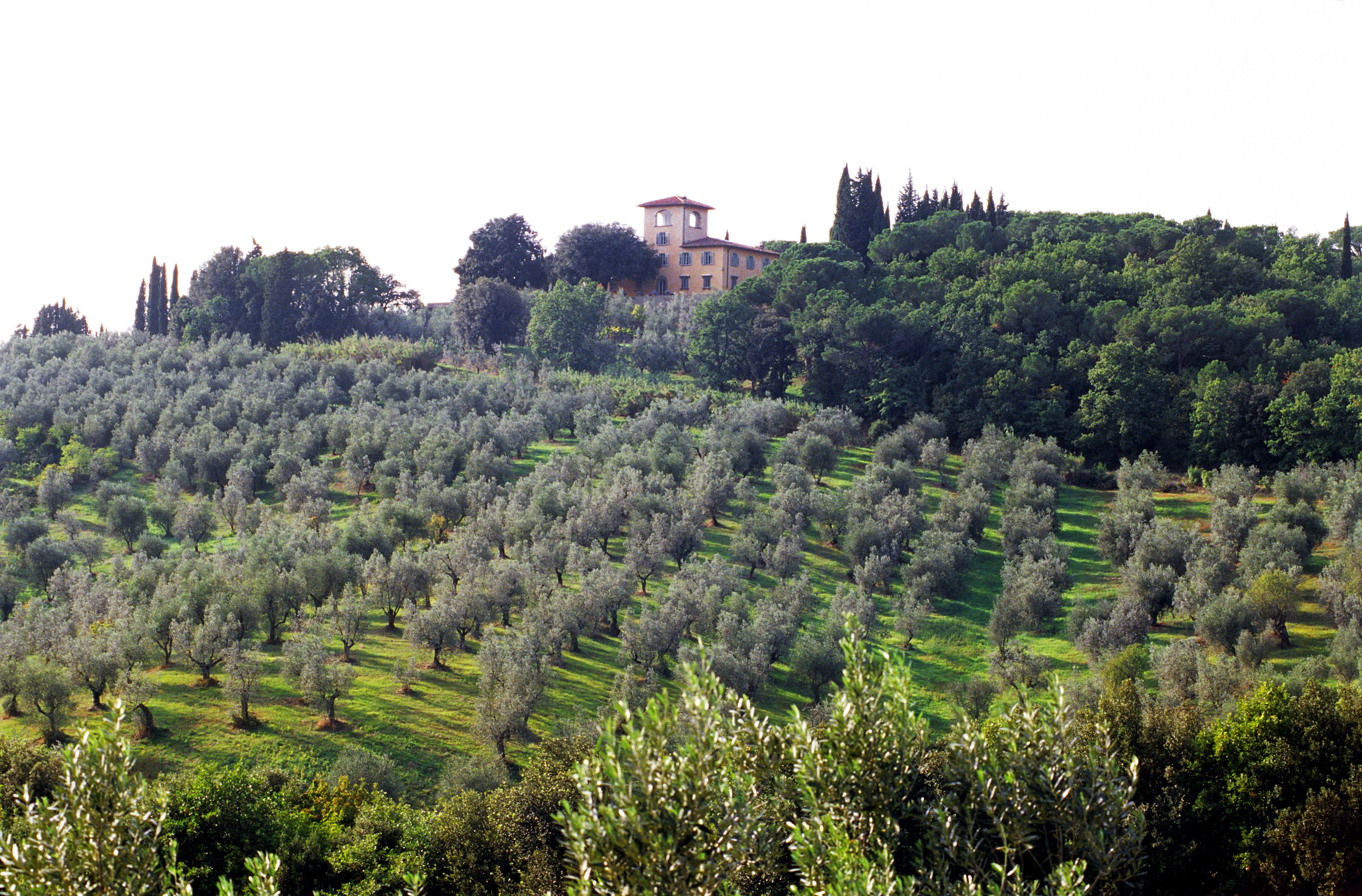 Villa La Cima