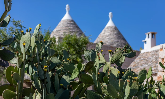 Villa Minita