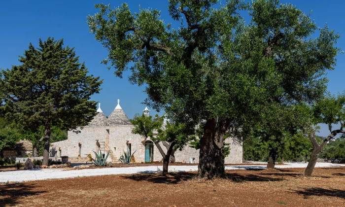 Villa Minita