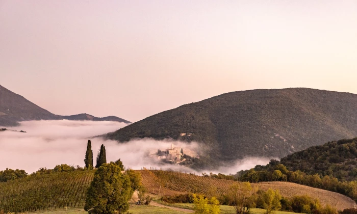 Villa Tanso