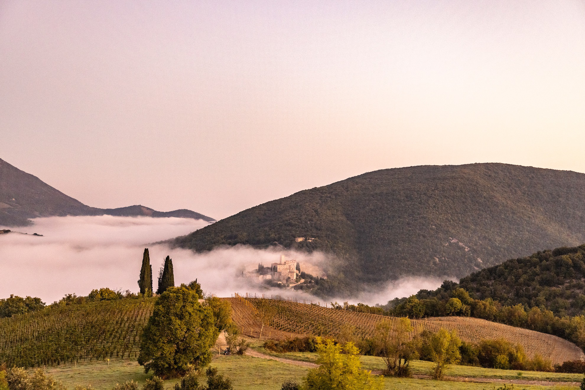 Villa Tanso