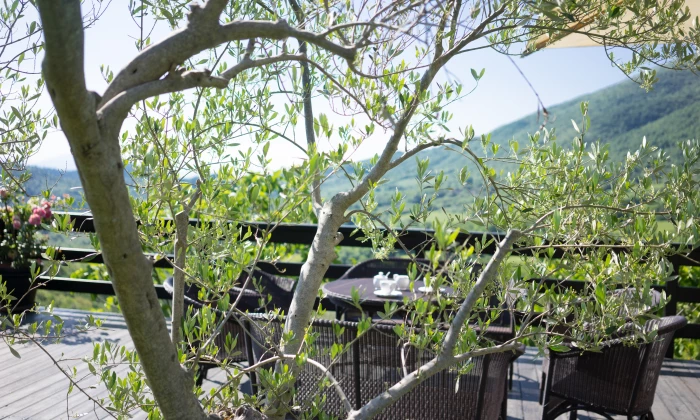 Villa Agiva