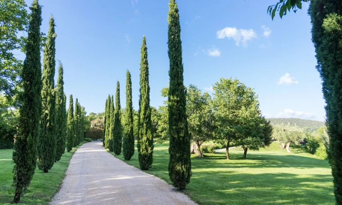 Villa Agiva