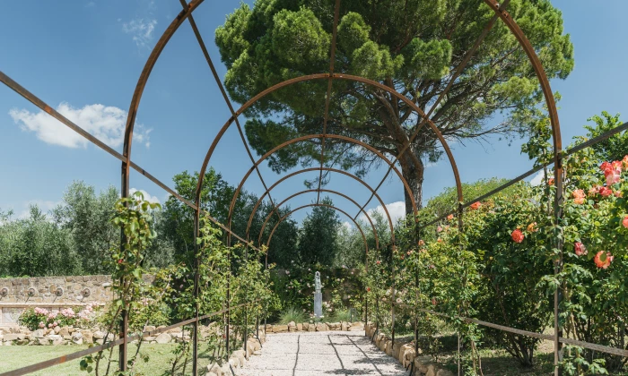 Villa Assi