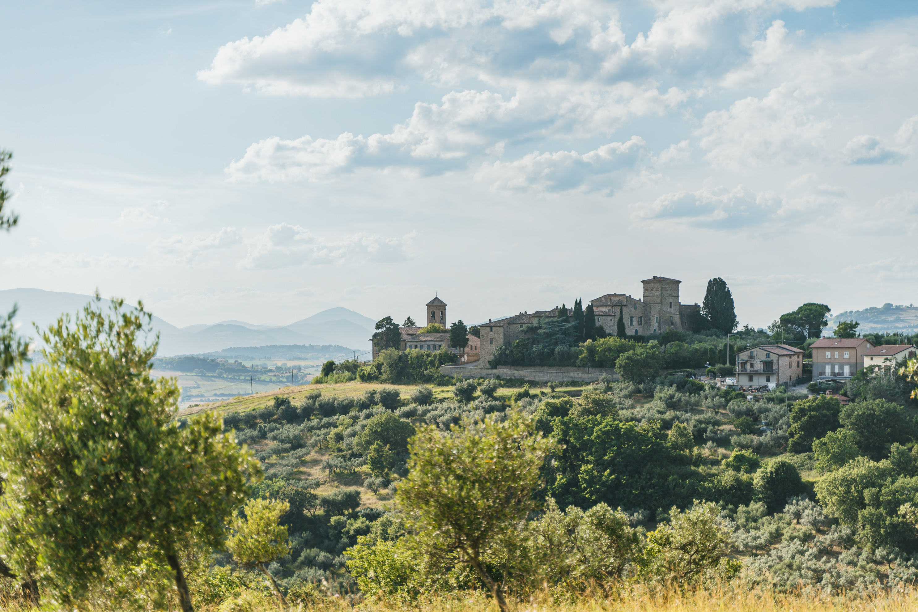 Villa Assi