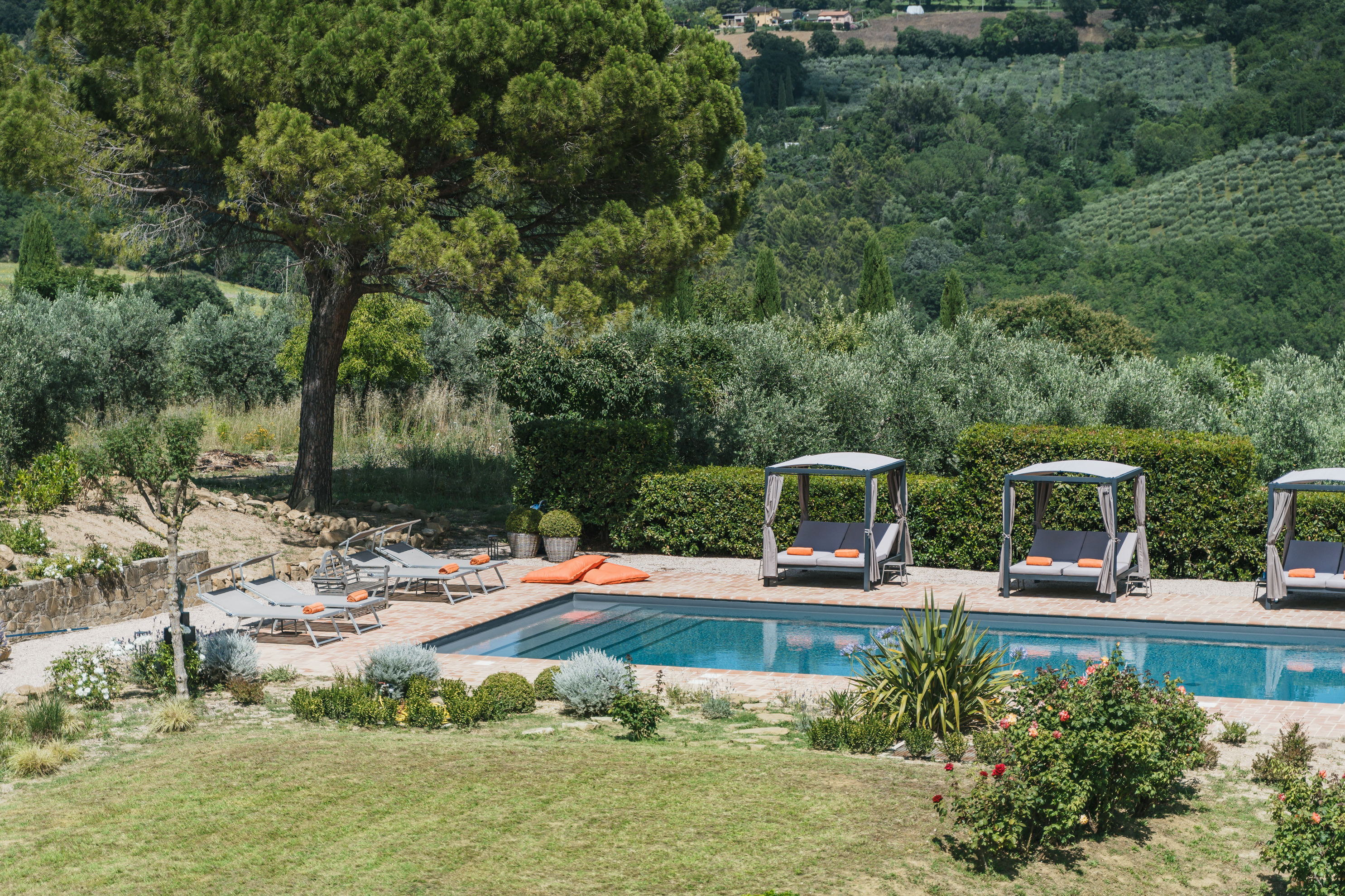Villa Assi