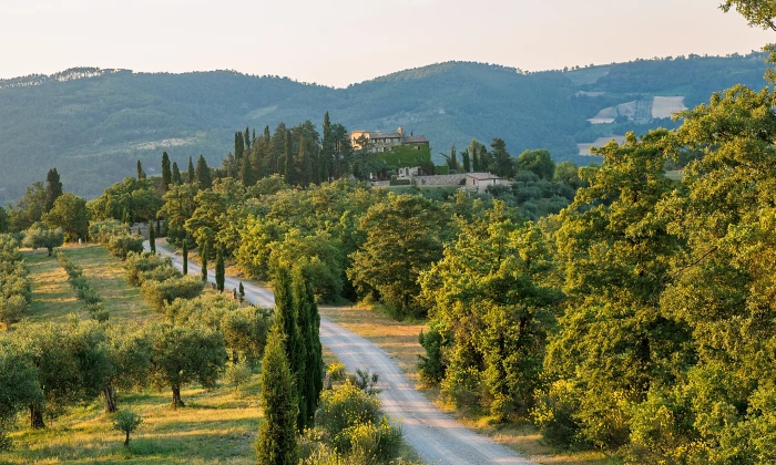 Villa Bertide