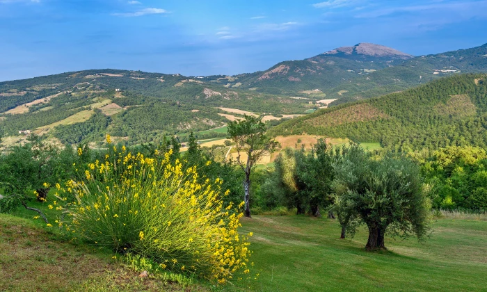 Villa Bertide