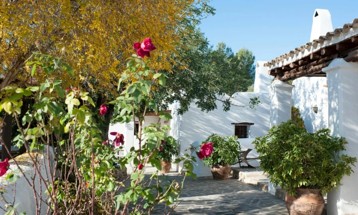 Villa Alice