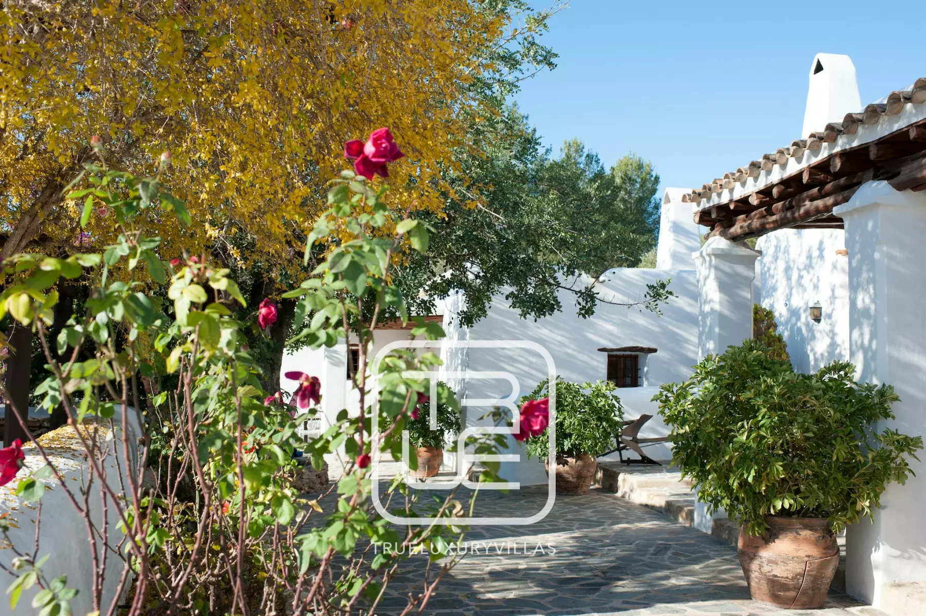 Villa Alice