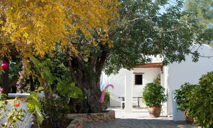 Villa Alice
