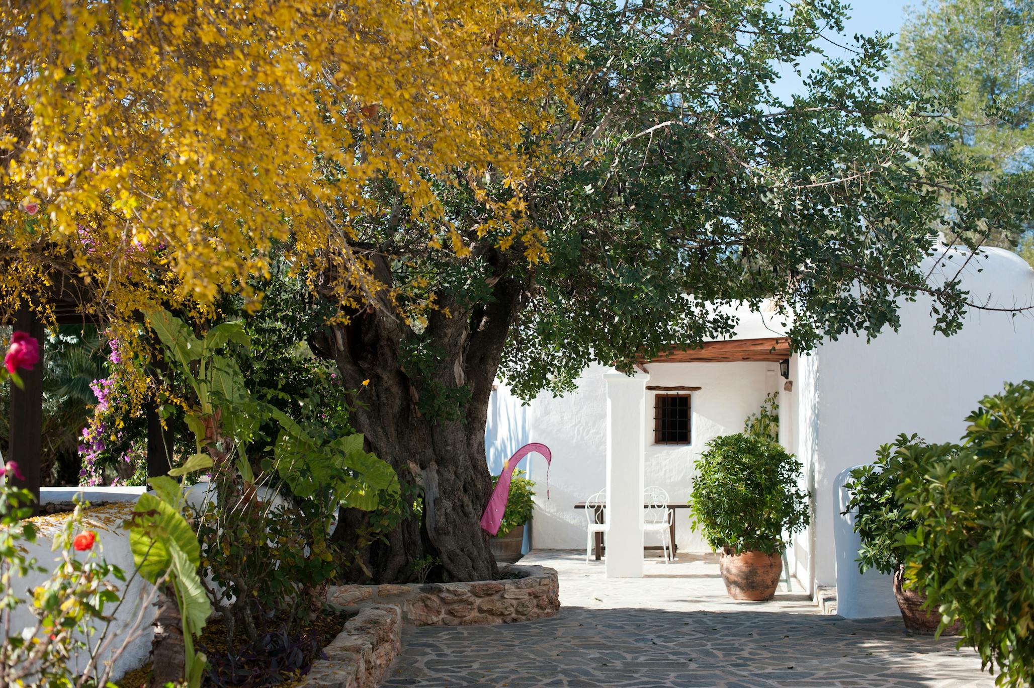 Villa Alice