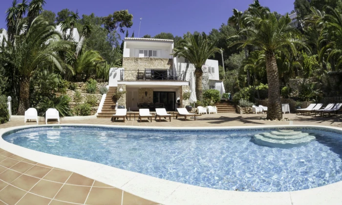 Villa Viki