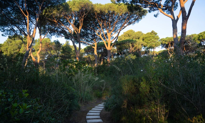 Villa Lungomare