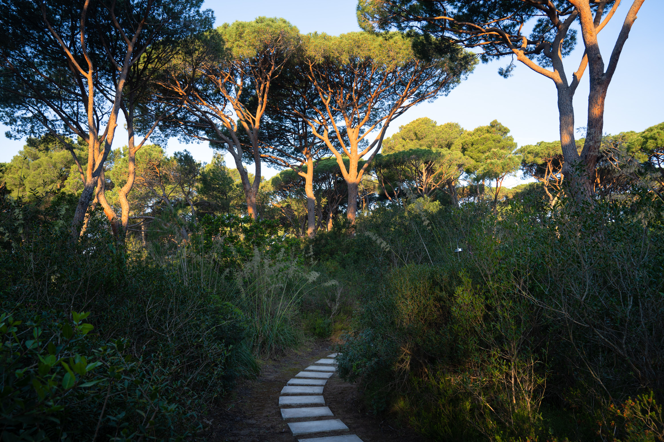 Villa Lungomare