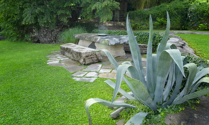 Villa Plinio