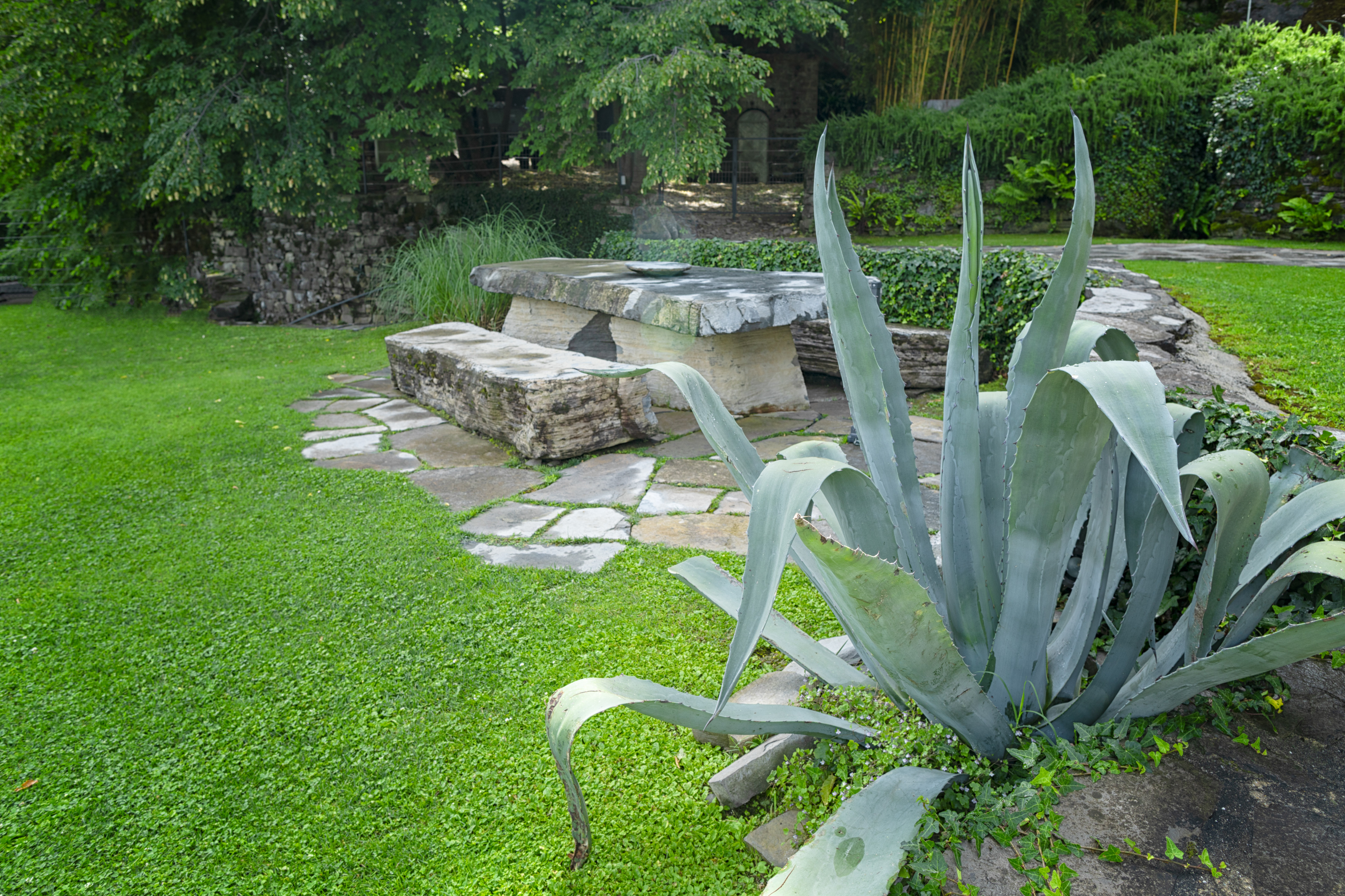Villa Plinio
