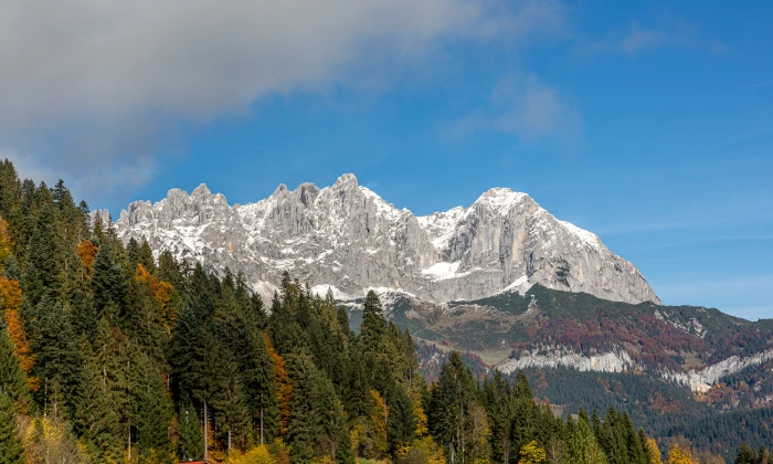 Chalet Rustico