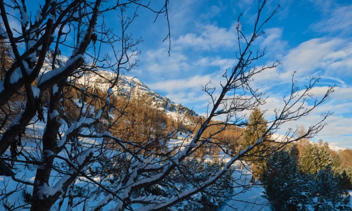 Chalet Surlej