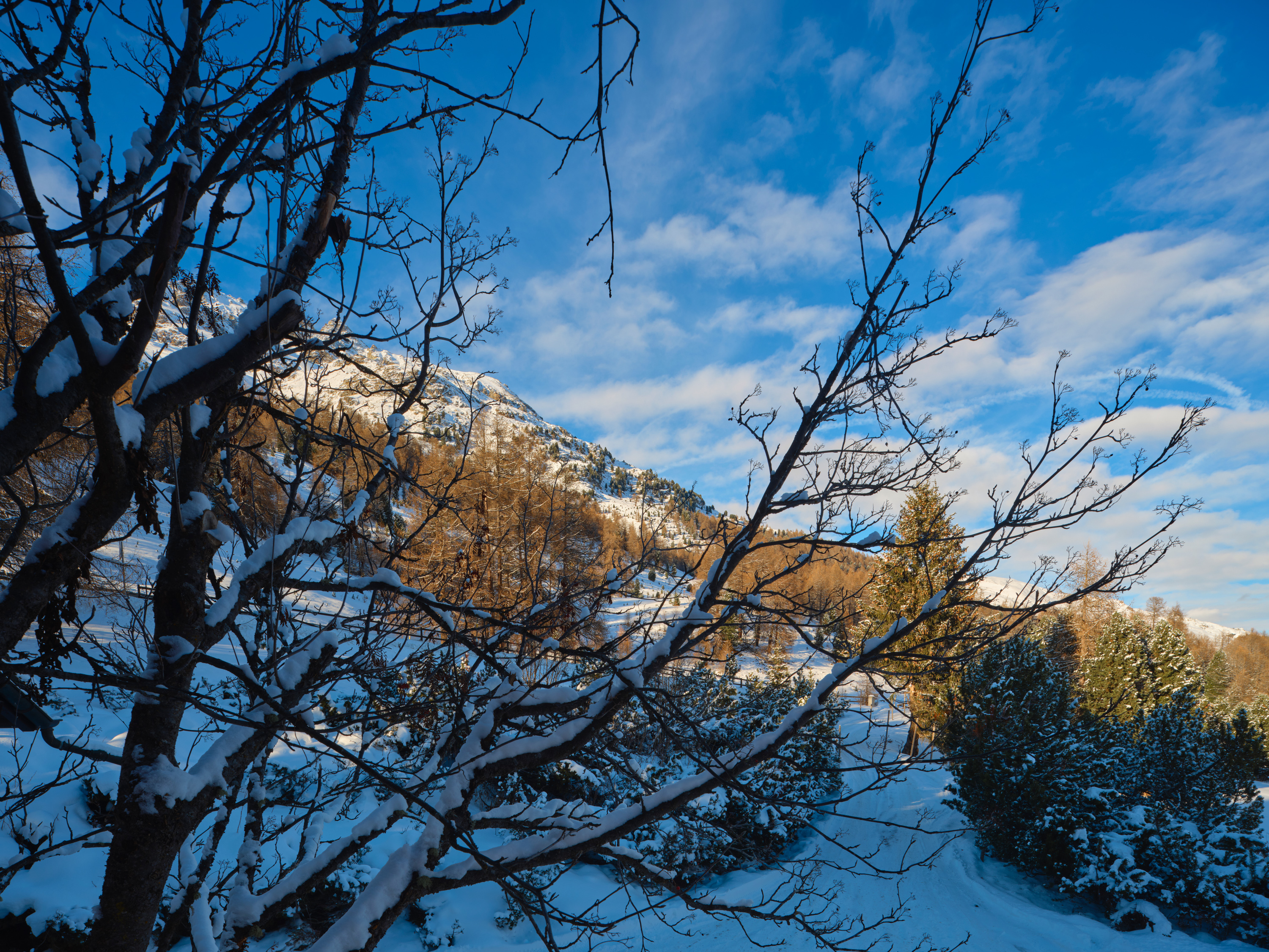 Chalet Surlej