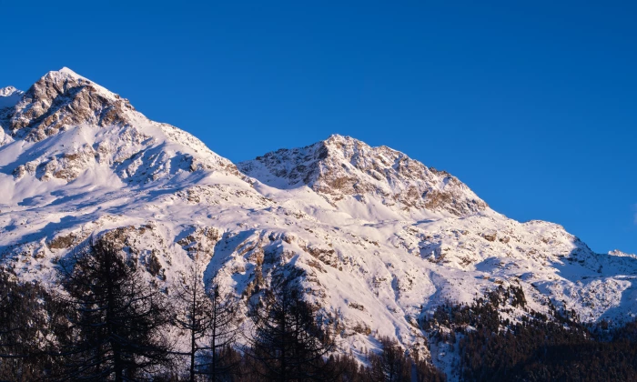 Chalet Surlej