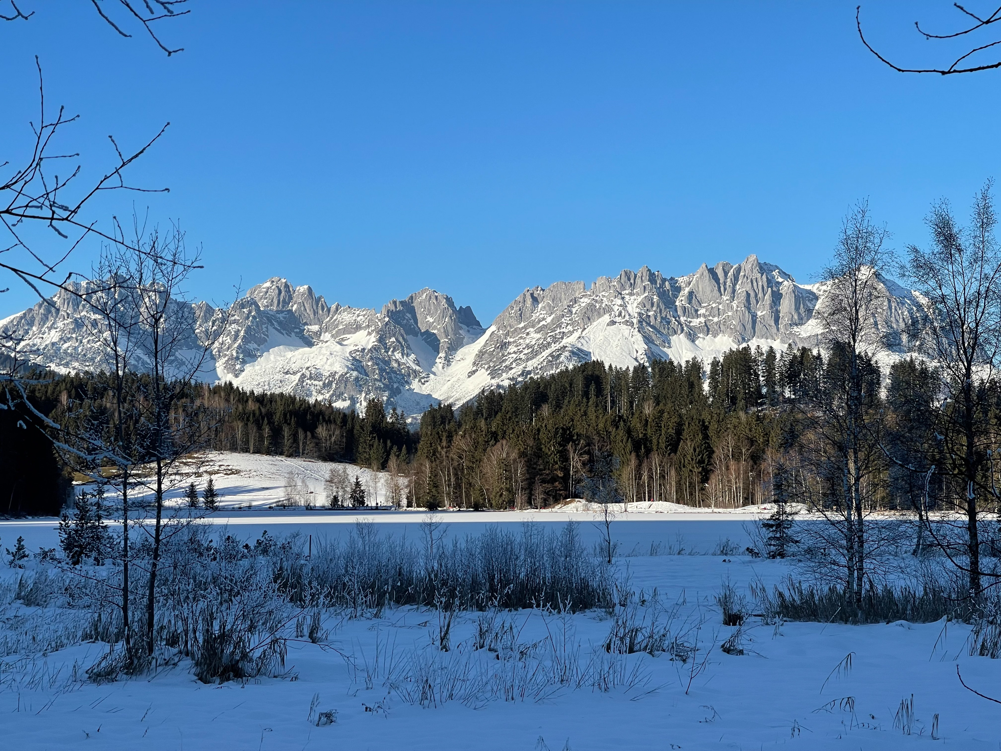 Chalet Oikos