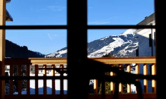 Chalet Oikos