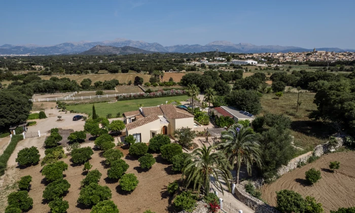 Villa Filo