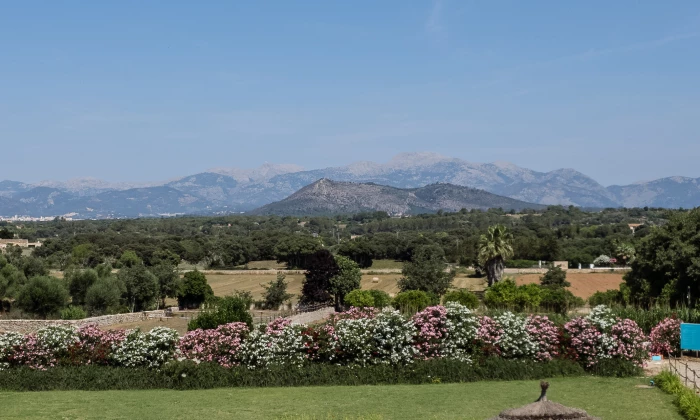 Villa Filo