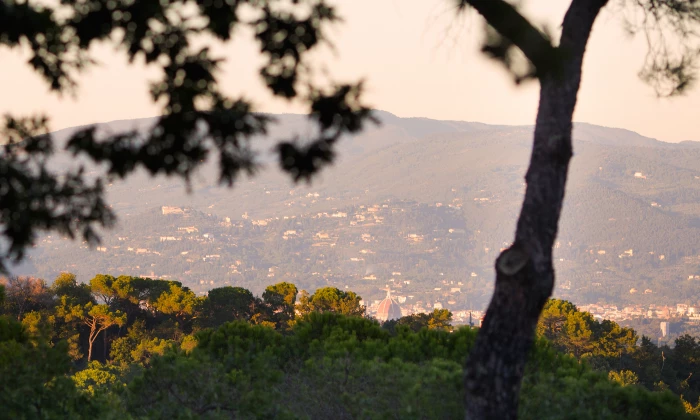Villa La Cima