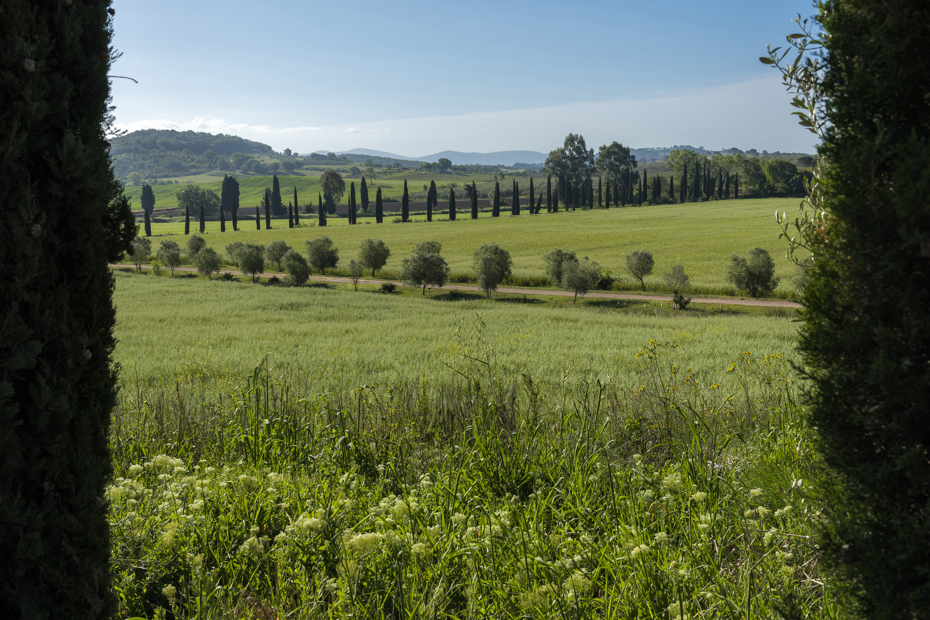 Villa Castagni