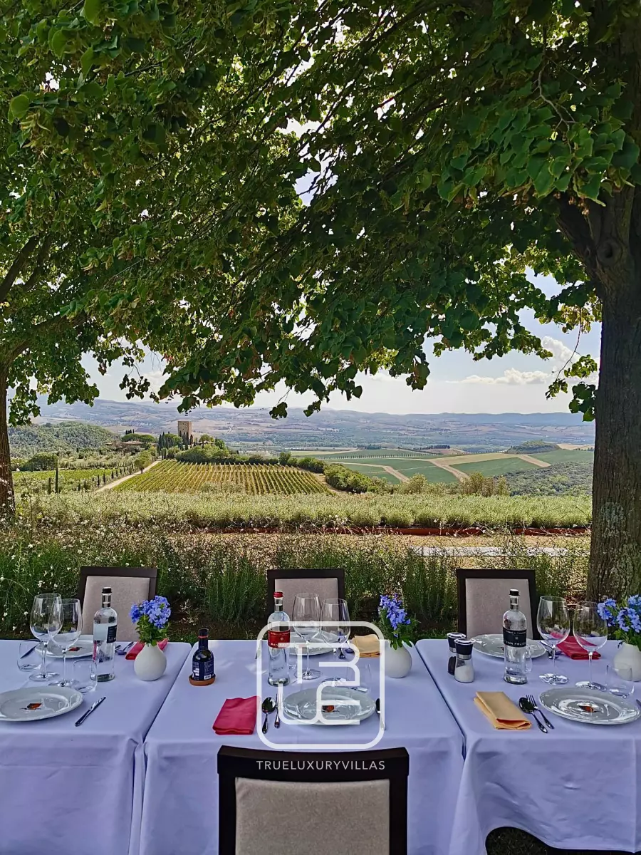 Villa Poganico