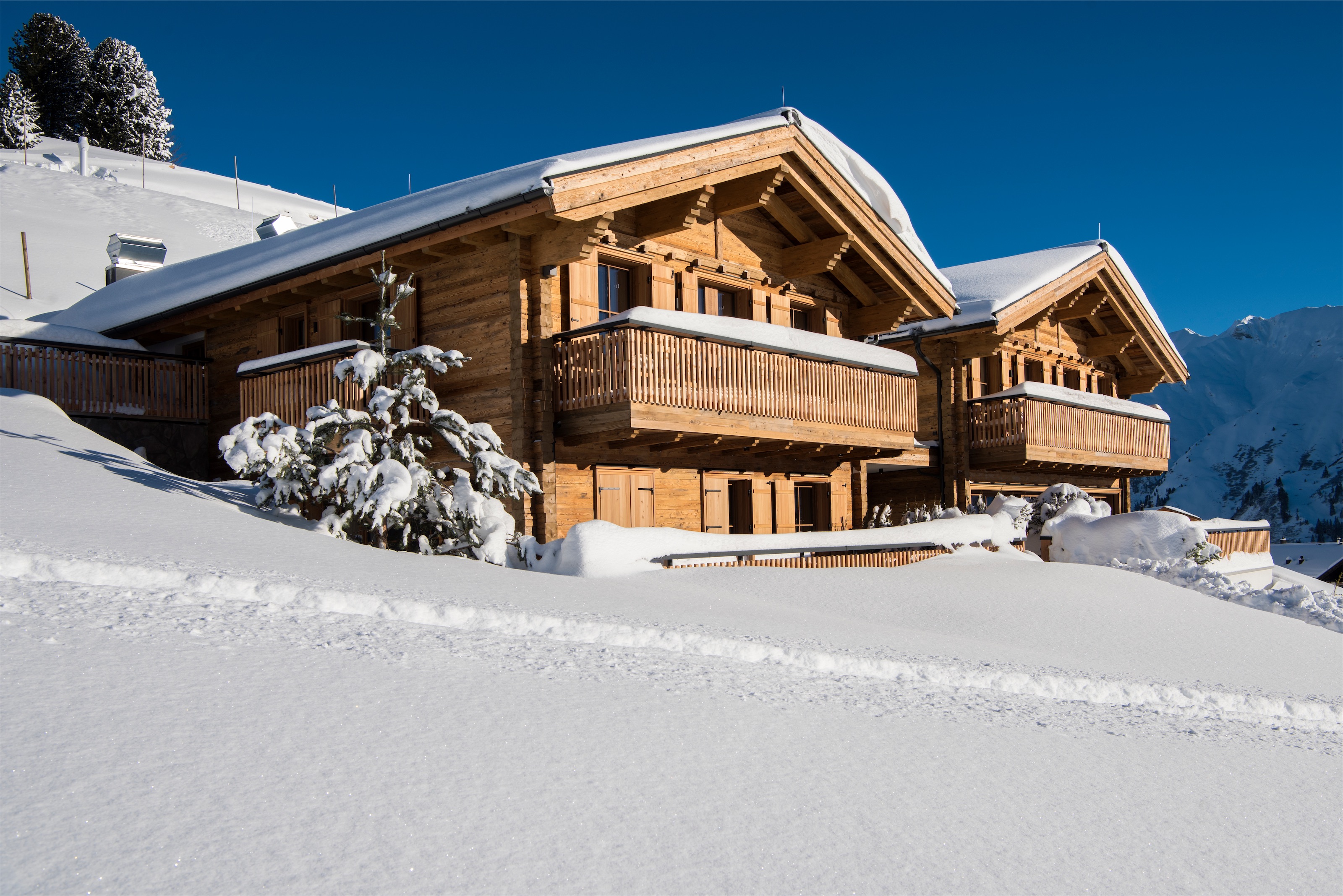 Chalet Millenium