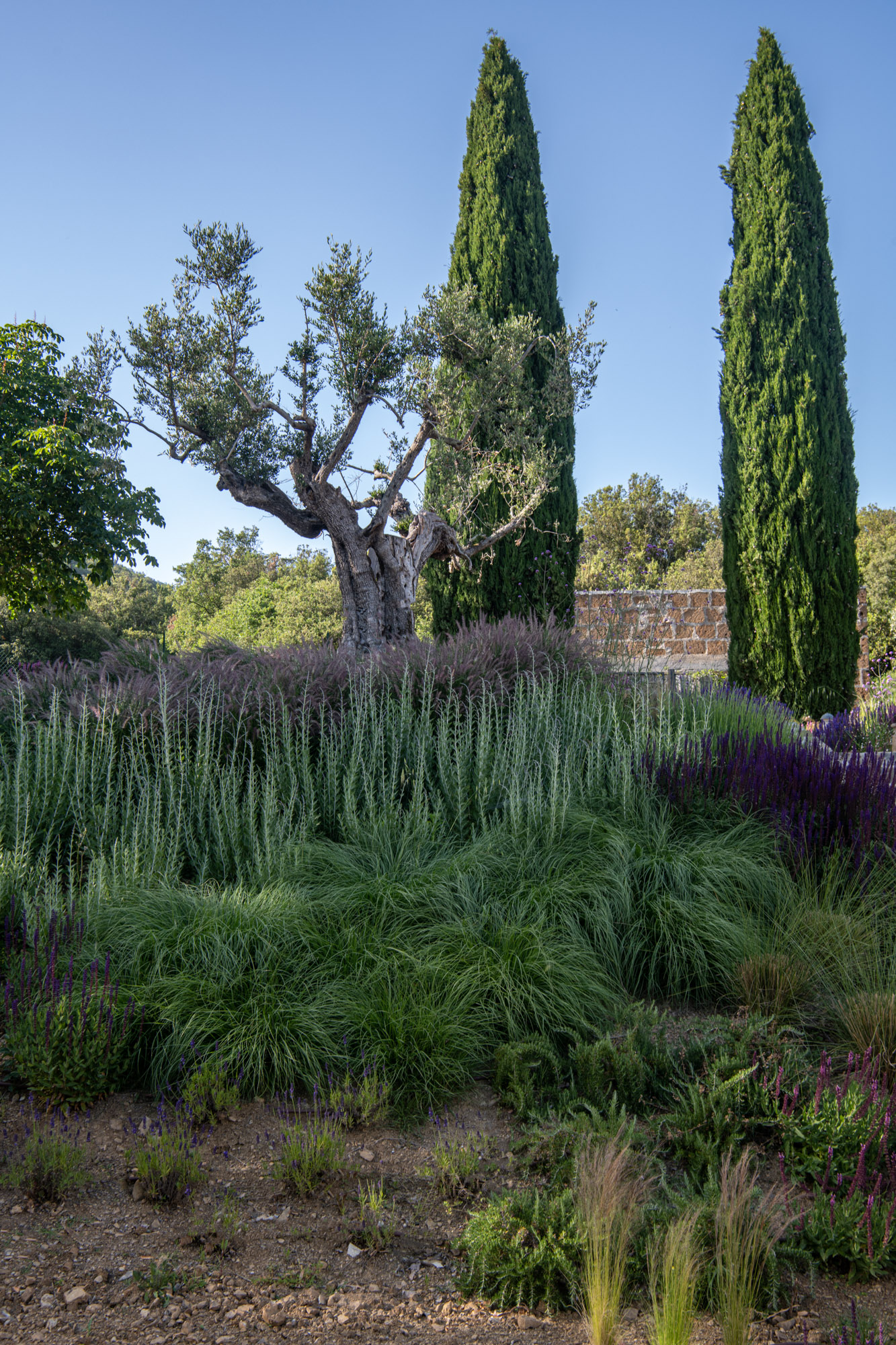 Villa Tenuta