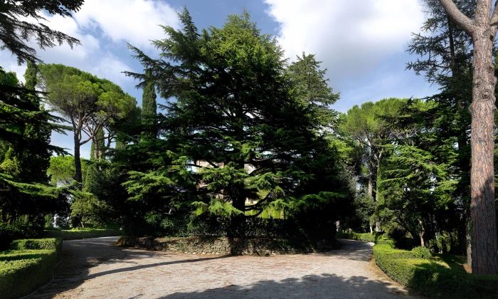 Estate Ora