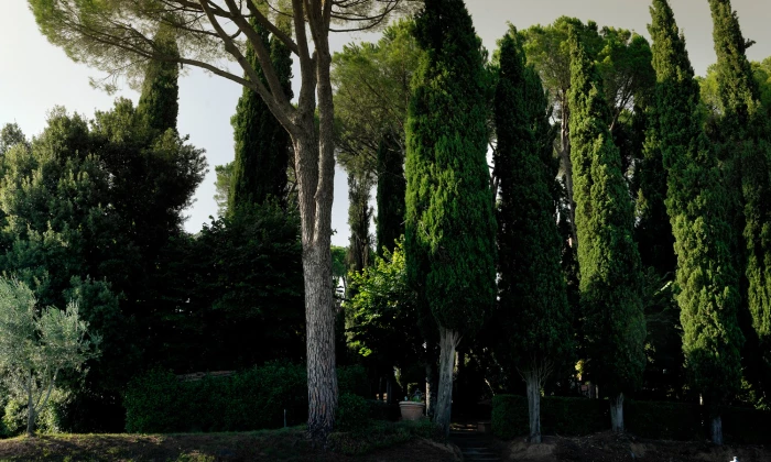 Estate Ora