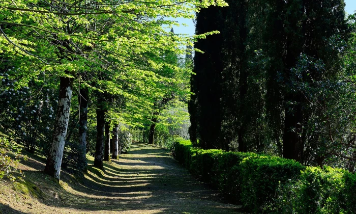 Estate Ora