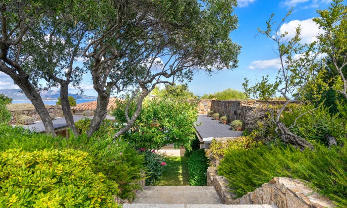 Villa Punta