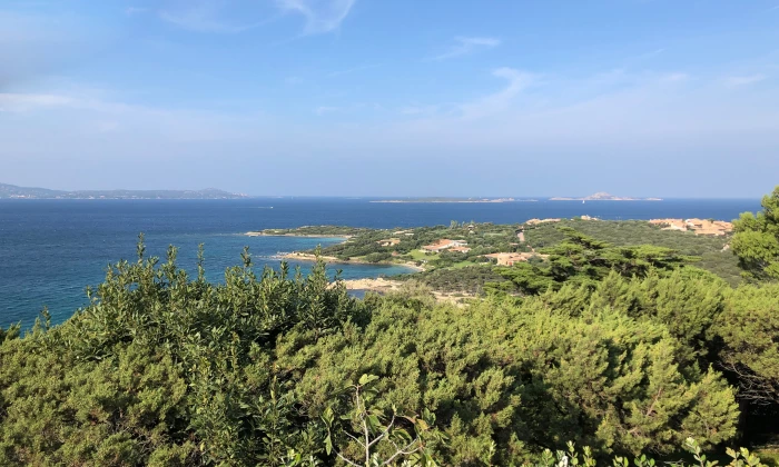 Villa Punta